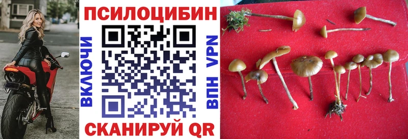 Купить  Благодарный  Псилоцибиновые грибы мухоморы 